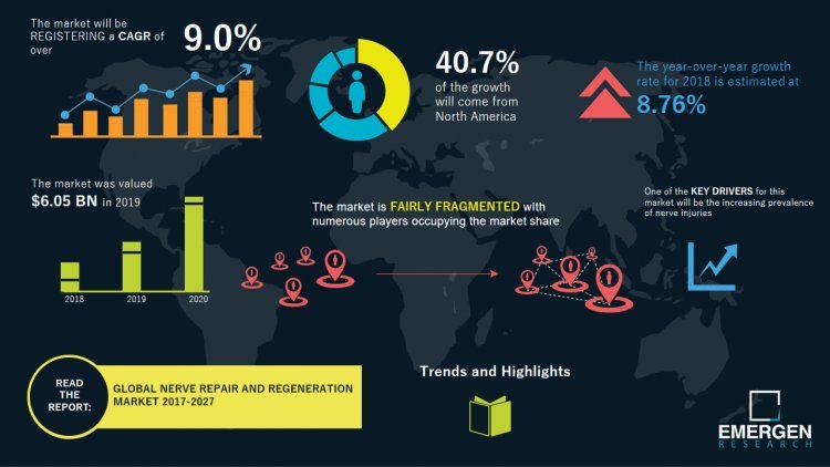 Nerve Repair And Regeneration Market 2021 | Industry Scenario and Key Vendors