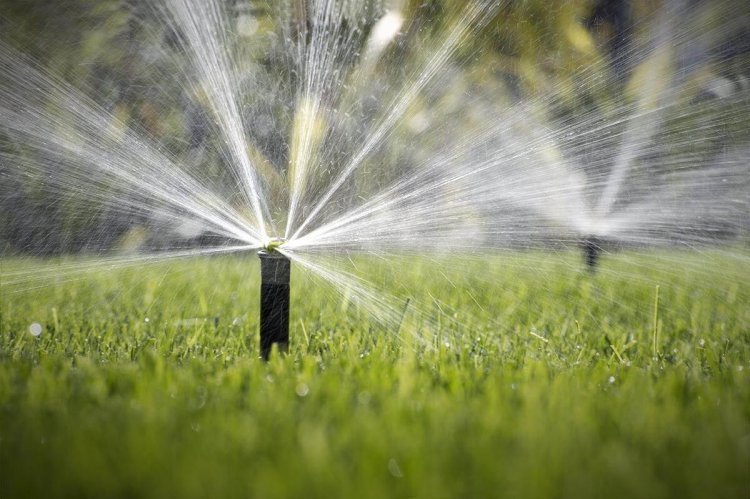 Spring landscape maintenance in Miami