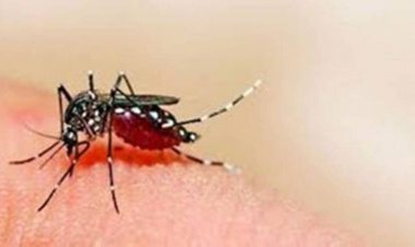 Problem and Solutions of malaria