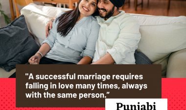 Why do Punjabi families Invest in Matrimonial sites ?