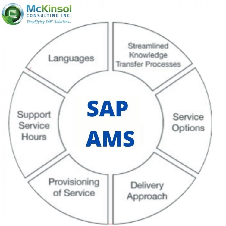 SAP AMS