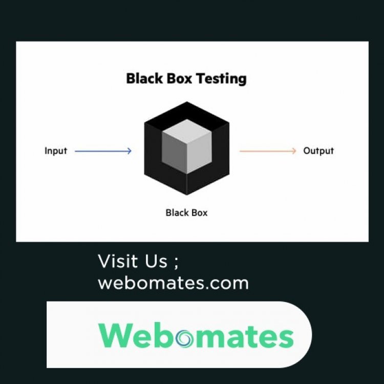 Black Box Testing