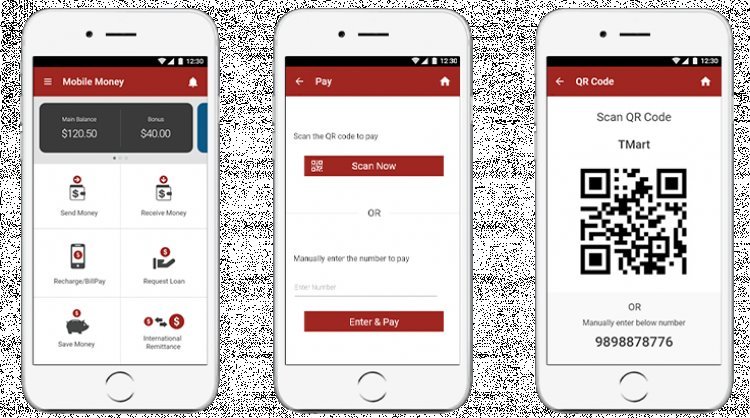Digital Payment App - How to Protect Your Money