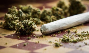 Side Effects of Marijuana