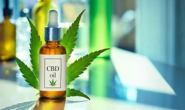 Best CBD Oil Nordic Oil