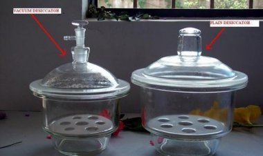 Everything you should know about Vacuum Desiccator