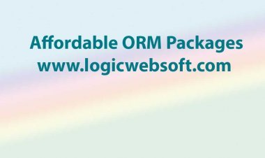 Affordable ORM Packages from the Best ORM Company
