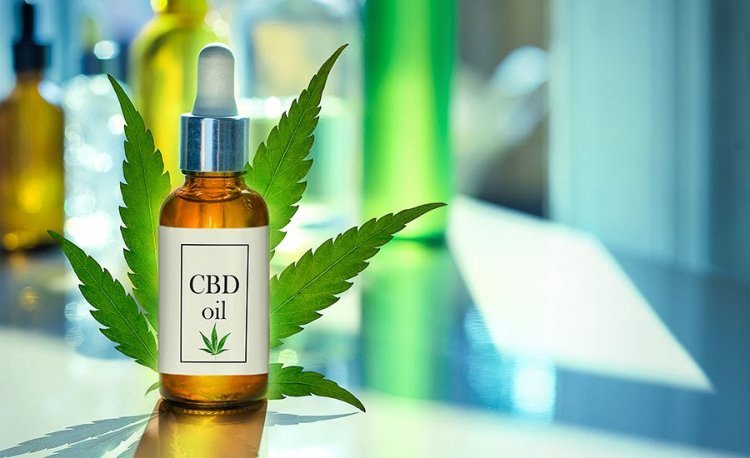 Best CBD Oil Nordic Oil