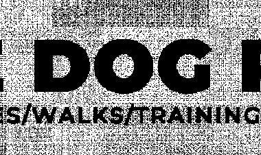 Doggie Day Care & Training Centre | The Dog Ranch, Tauranga