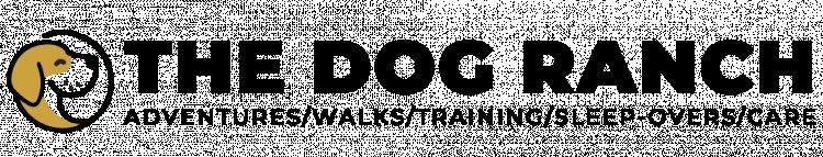 Dog Walkers and Dog Adventures, Tauranga | The Dog Ranch
