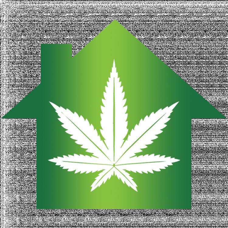 WeedLifestyles