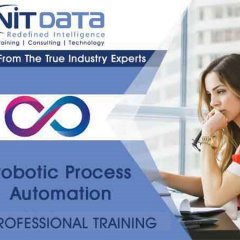 NITDATASAPSF